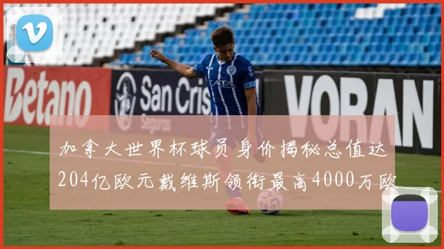 加拿大世界杯球员身价揭秘总值达204亿欧元戴维斯领衔最高4000万欧